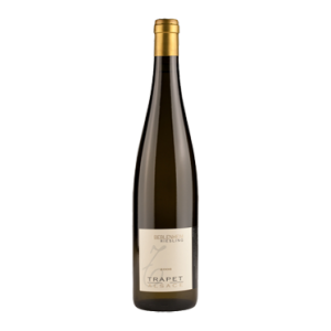 Vin d Alsace - Domaine Trapet Alsace - Riesling Kientzheim - Blanc - 2020